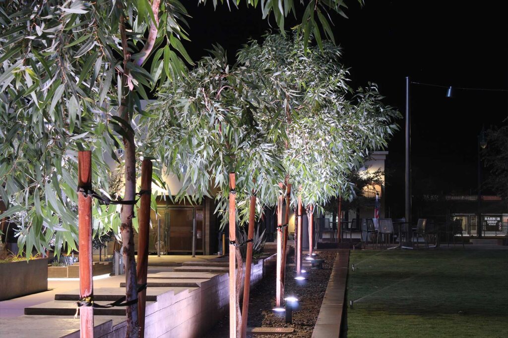 Water Tower Plaza Gilbert